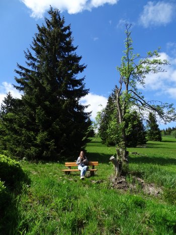 Cora Heidler, Zechengrund.jpg