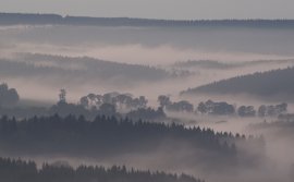 Nebel.jpg