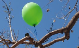 Ballon.jpg